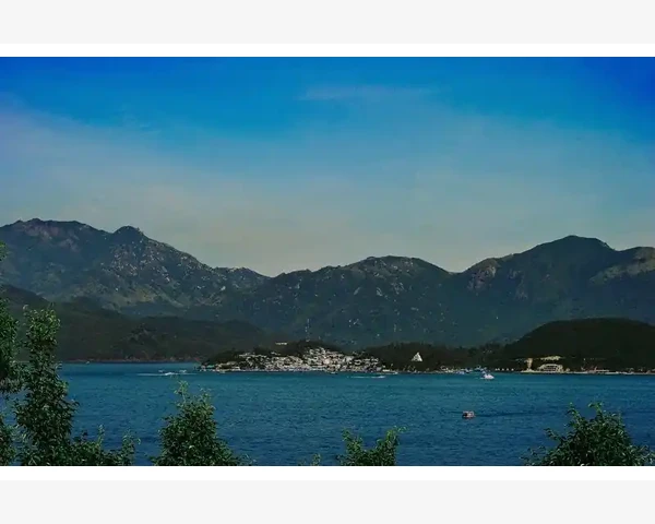 清肺抗疫汤：增强自身免疫力，健康抵御疾病的力量