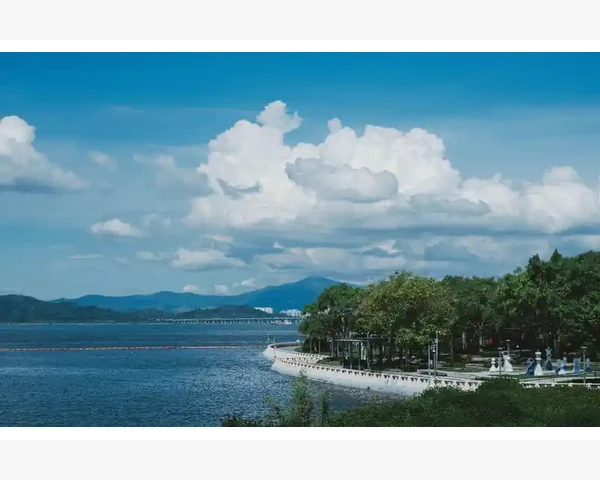 口腔干燥？不妨来一杯养生茶